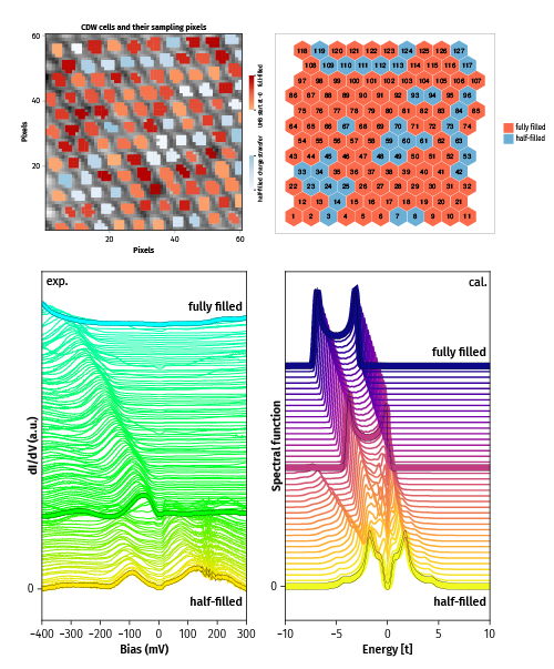 Doped Mott phase and charge correlations in monolayer 1T-NbSe<sub>2</sub>