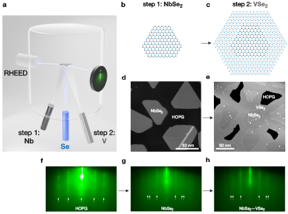 Atomically sharp 1D interfaces in 2D lateral heterostructures of VSe<sub>2</sub>—NbSe<sub>2</sub> monolayers