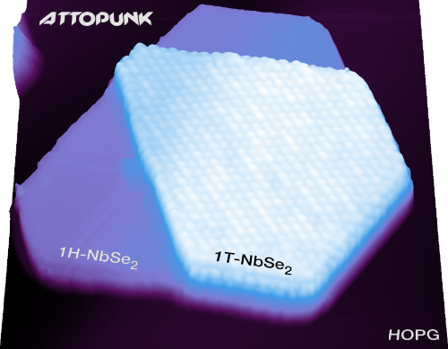 Doped Mott insulator